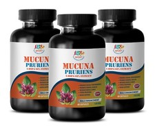 libido herbal - MUCUNA PRURIENS 350mg 3B - dopa mucuna bulk