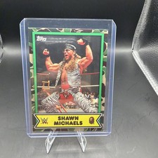 2025 Topps WWE X Bape Wrestling Checklist Guide in-content 24