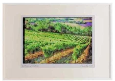France 174062 Vineyard Near Apt A2 Picture Frame Watercolour print