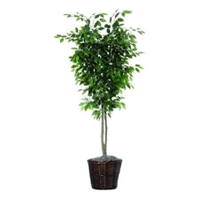 Vickerman 6' Artificial Ficus Deluxe Tree with Rattan Basket in Green