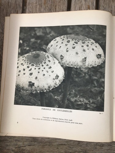 HEIM Roger - LES CHAMPIGNONS. Tableaux d 'un monde étrange. - 1958 - Foto 3 di 9