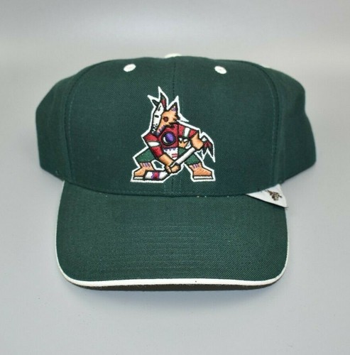 Phoenix Coyotes Twins Enterprise 