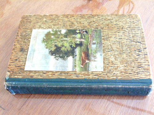THE LITTLE LAME PRINCE Hardcover Book Miss Mulock Christmas 1911 - 第 1/10 張圖片