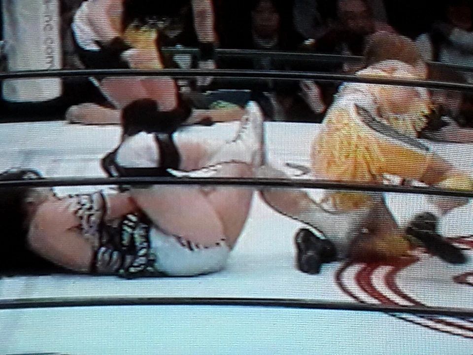 Maxell T120 GAEA Japan Wild Times Aja Kong Yamada Toyota Satomura Kaoru Uematsu - Image 3 of 4