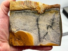 Thick Disaster Peak Picture Jasper Cabbing Lapidary Collecting Combo Ship Avail