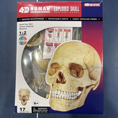 Tedco Toys 26086 4D Human Anatomy Exploded Skull