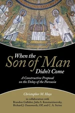 When the Son of Man Didn't Come – Christopher M. Hays Paperback Brand New