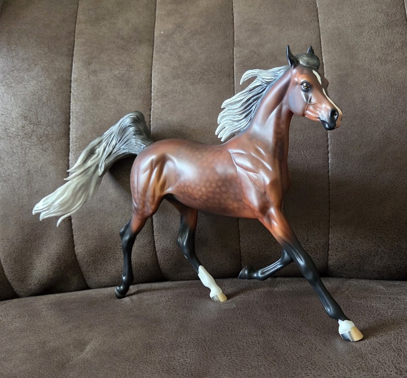 2020 DAH Special Color Yearling