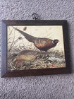 Vintage Framed Birds Print Wall Picture@3