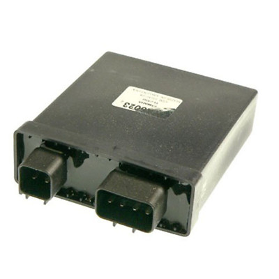 Wild Boar High Performance CDI IYA6023