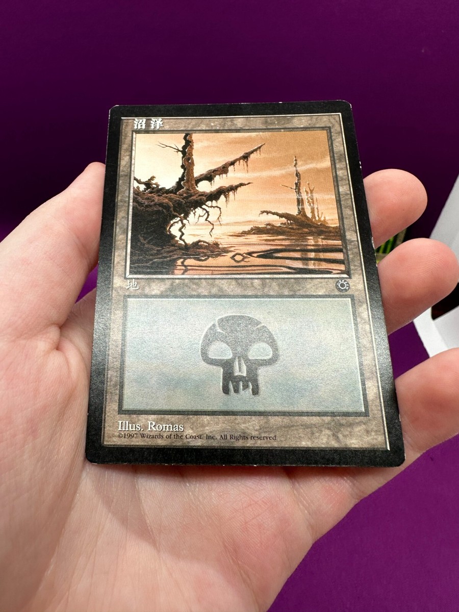 MTG Alternate Art Basic Land Set of 5 Portal 1 Simplified