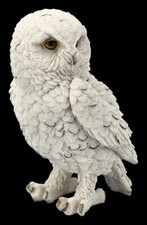 Schneeeulen Figur - Snowy Watch mittel - Vogel Uhu Eule Dekostatue