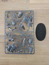Warhammer Age Of Sigmar Lord-Vigilant on Gryph-stalker Stormcast Eternals SPRUE