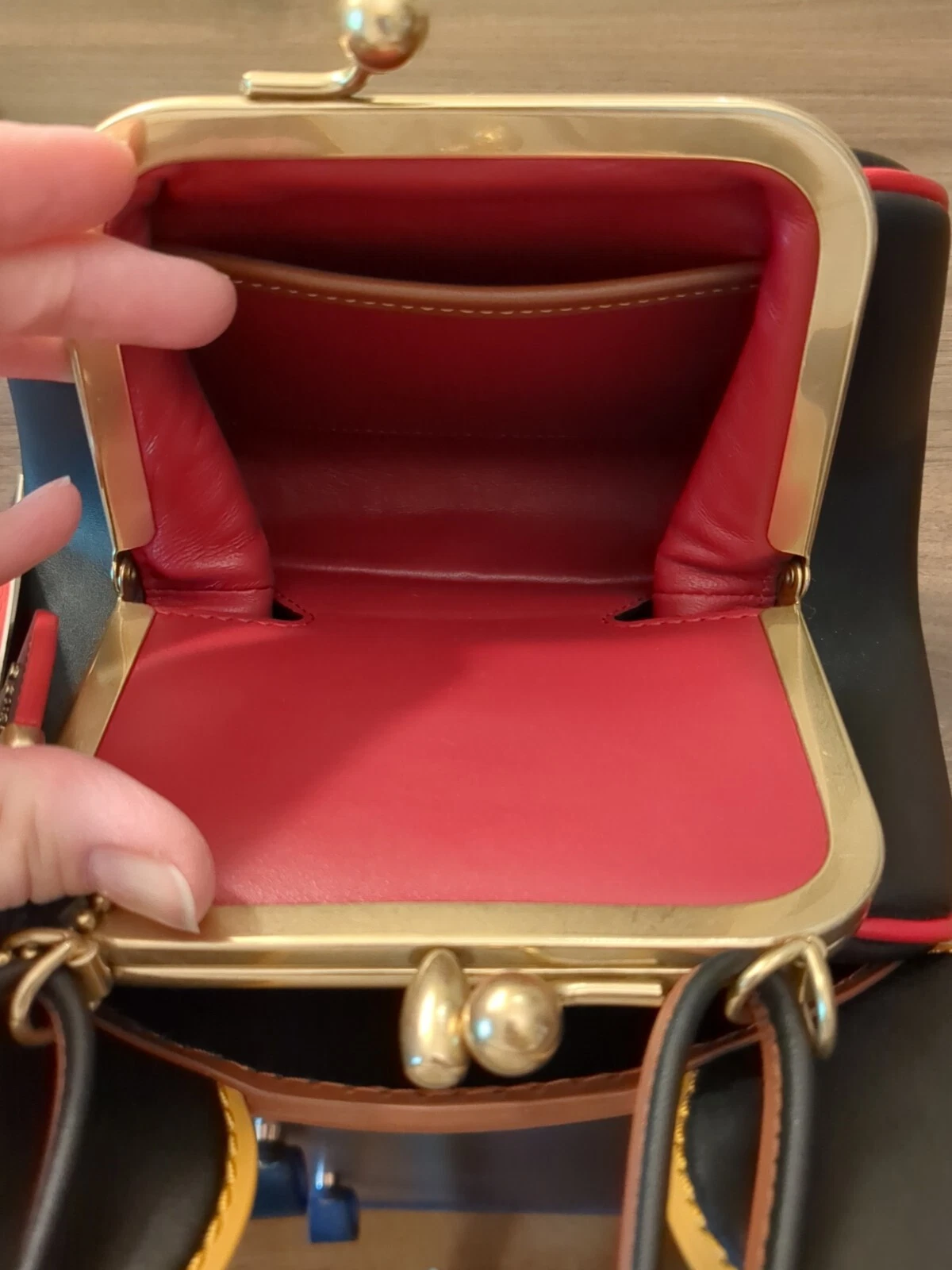 Coach X Disney Topolino Keith Haring Bacio Borsa