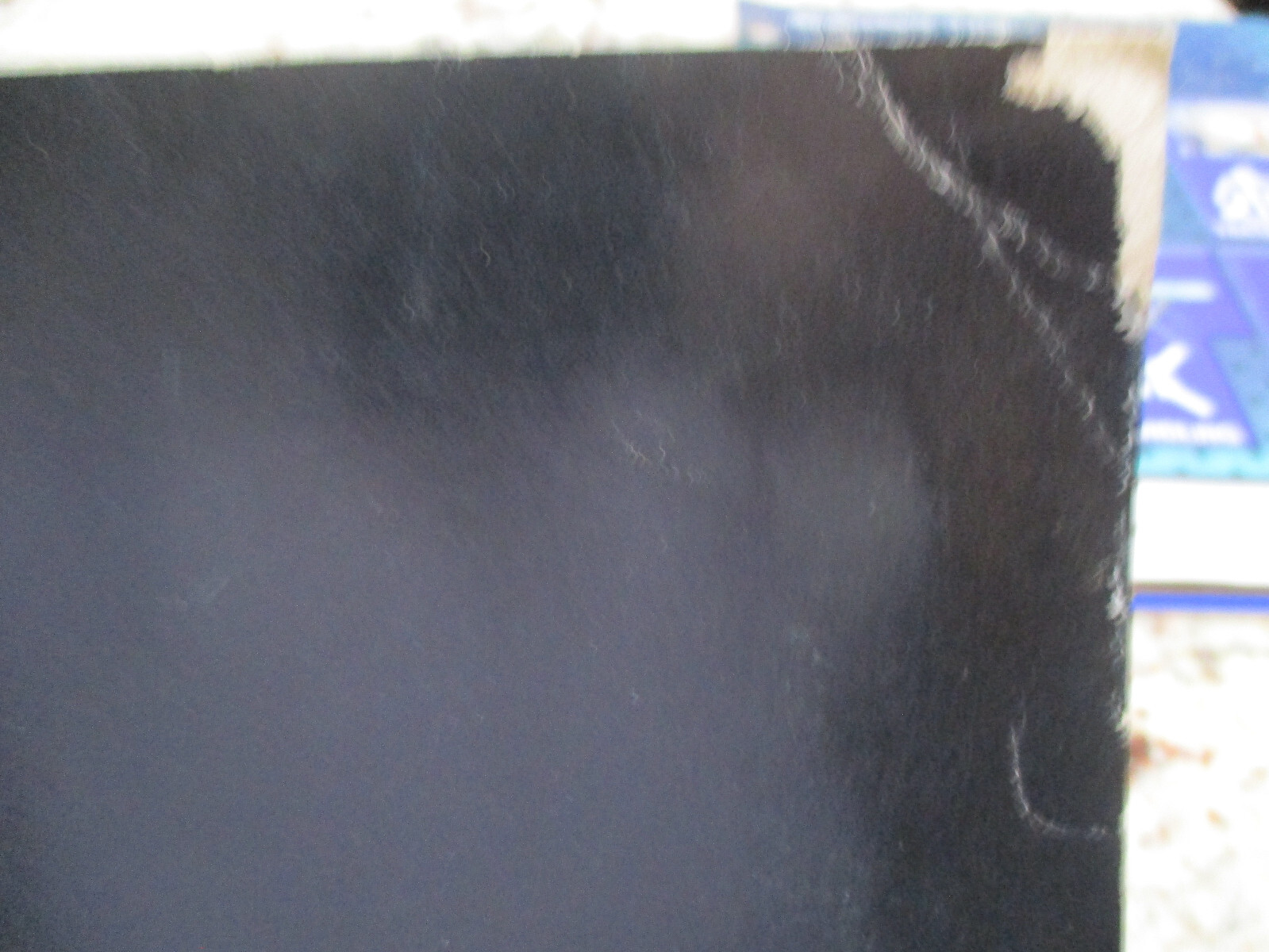 Picture 5 of 5