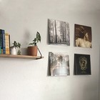 Bild 10 von 16
