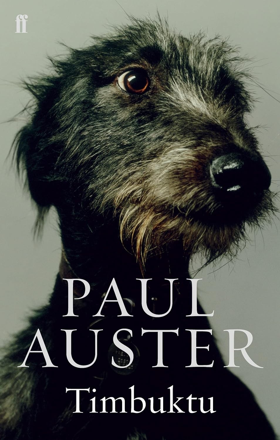 Timbuktu Paul Auster - Image 9