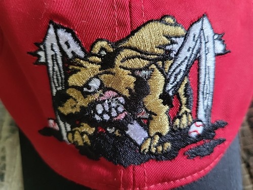 MiLB Batavia Muck Dogs Cap Hat Youth Adjustable Minor League Baseball Red Black - Picture 1 of 7