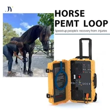 PEMF PMST LOOP Magnetic Therapy Machine for Horse Human Pain Rehabilitation