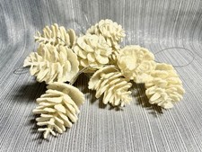 10 Vintage Ornaments MCM Pine Cones Glittery Shatterproof 2  