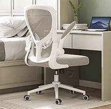 Hbada Ergonomic Desk Chair with Flip-up Armrest&Lumbar Support, Grey