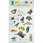 Ponds & Rivers by Caz Buckingham, Andrea Pinnington (Loose-leaf, 2014)