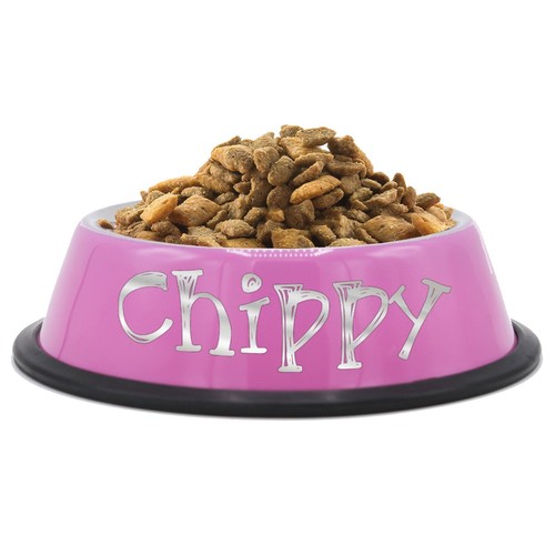 Custom Personalized Metal Small Dog and Cat Pet Bowls - Picture 20 of 42