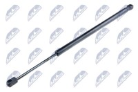 NTY AE-FR-012 Gasfeder, Kofferraum-/Laderaumbereich FüR Ford