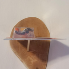Bild 16 von 23
