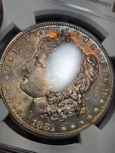 1881-S Morgan- NGC MS64 Amaizing In Person Double Toner..wild Color.