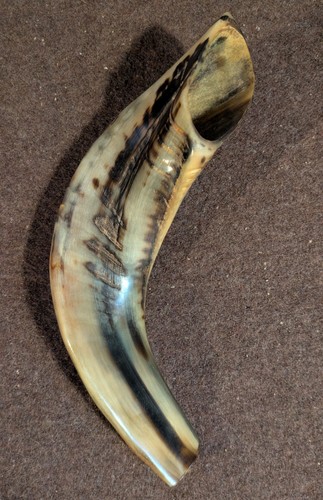 Traditional Kosher Ram Shofar from Israel Jewish 10”-12” Odorless