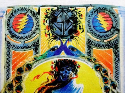 Camiseta Grateful Dead Camiseta De Colección 1995 Gira Primavera Richard Biffle Arte GDM XL - Imagen 8 de 12