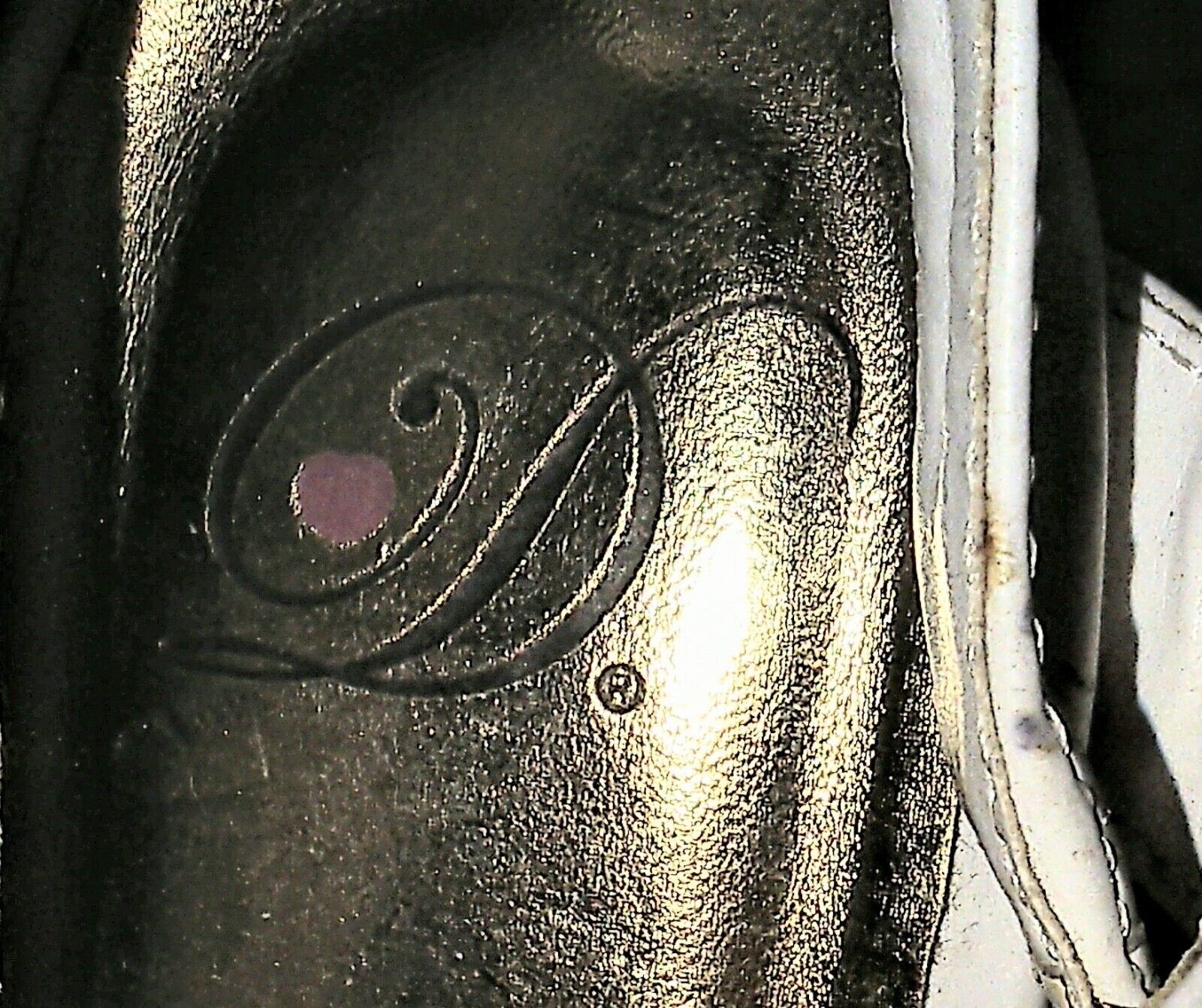 Picture 6 of 6
