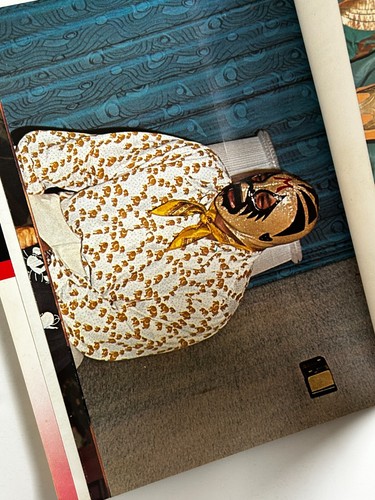 Mil Mascaras Brilliant World Book Posters 1973 Lucha Libre Wrestling NWA Japan - Picture 3 of 12