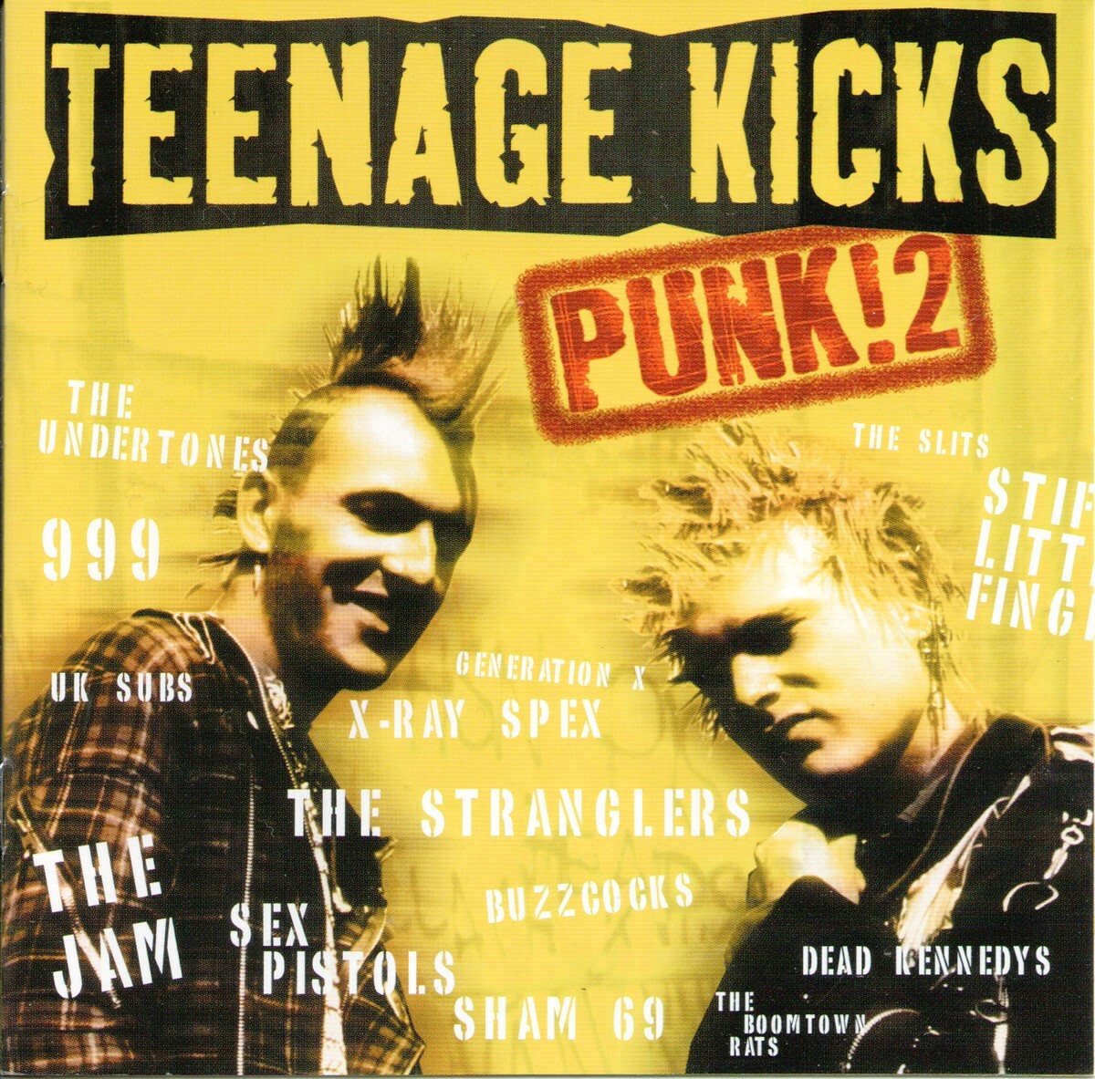 Teenage Kicks Punk 2 CD 20 Track Compilation Featuring Undertones