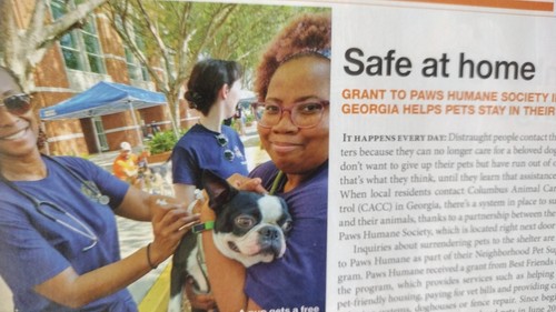 BEST FRIENDS MAGAZINE MAY/JUNE 2024 BEST FRIENDS ANIMAL SOCIETY - Picture 8 of 15