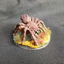 Giant Spider Tarantula Shelob Miniature Dungeons & Dragons Hand Painted