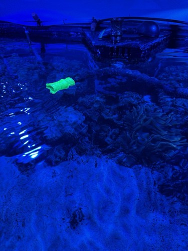 Kryptonite Green 3/4” Loc Line Flow Generator | Reef Tank Upgrade | PETG - Picture 2 of 4