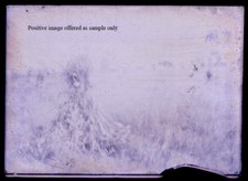 CORN STACKED IN FIELD. PAINTERLY QUALITY. GLASS PLATE NEGATIVE, 5 X 7 INCHES.