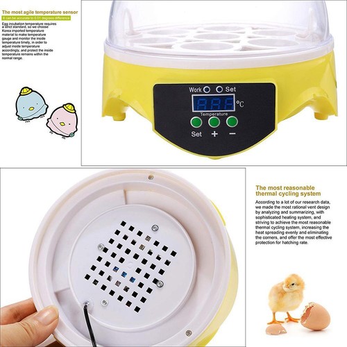 7 Egg Incubator Poultry Incubator Brooder Digital Temperature Control (US) - Picture 5 of 10