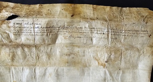 1361 - MEDIEVAL PARCHMENT FROM THE REIGN OF KING JEAN LE BON & POPE INNOCENT VI - Picture 13 of 16