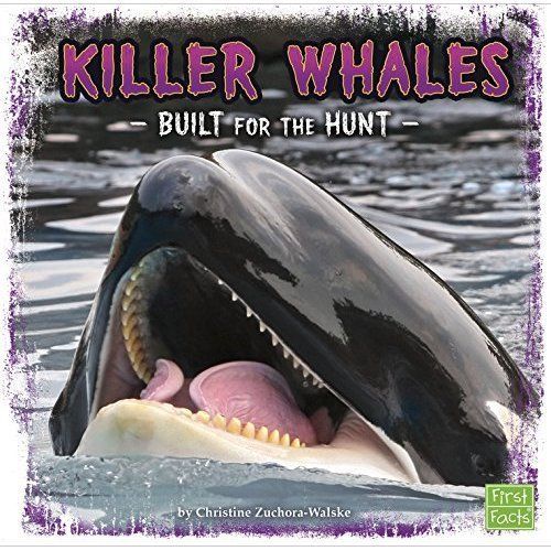 Killer Whales: Built for the Hunt (Pr By Zuchora-Walske