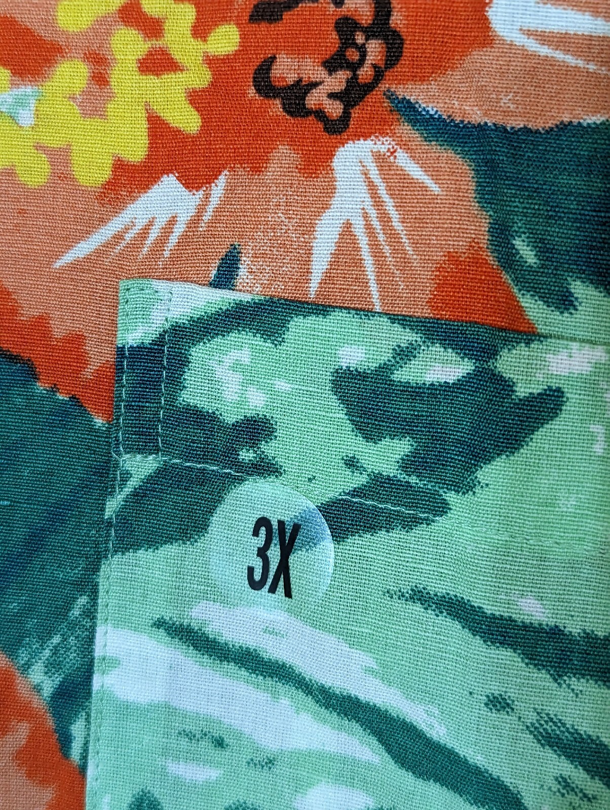 Picture 3 of 6