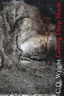 Casting Deep Shade: An Amble, Wright, C. D.