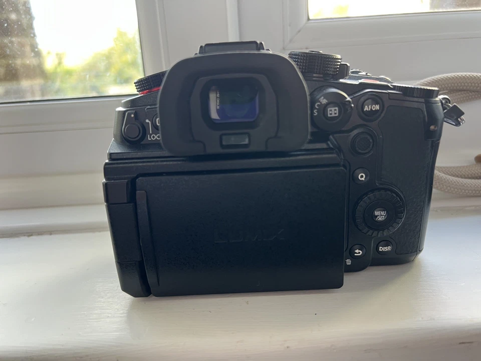 Panasonic Lumix GH6, photo 4 of 5