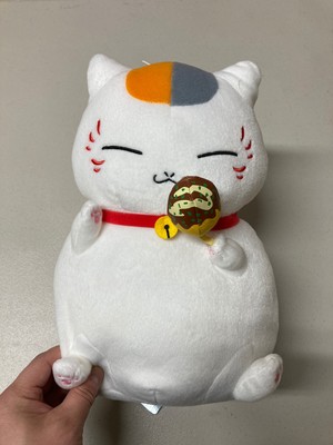 mitchiri neko plush