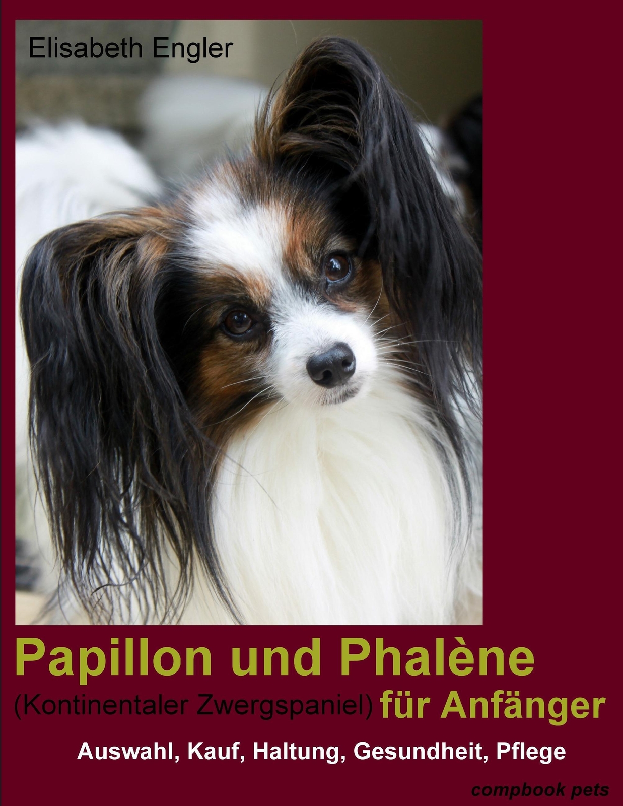 Papillon Und Phalène (kontinentaler Zwergspaniel) Für Anfänger |