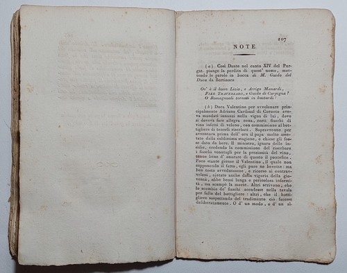 Libro antico Ravenna dall'anno 1500 sino all'anno 1513 In volgare 1826 - Foto 12 di 18