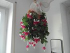 Bild 3 von 3
