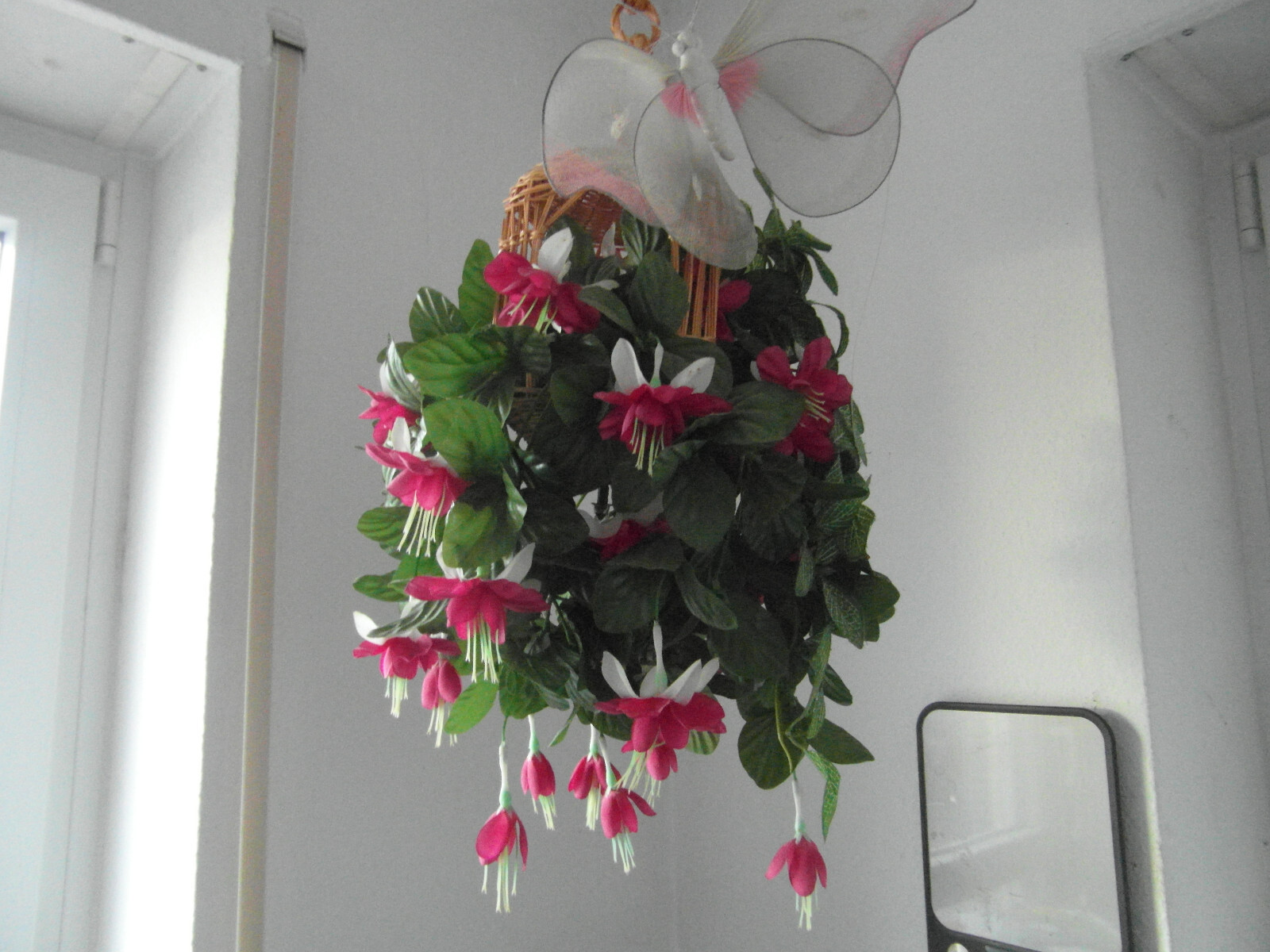 Bild 3 von 3